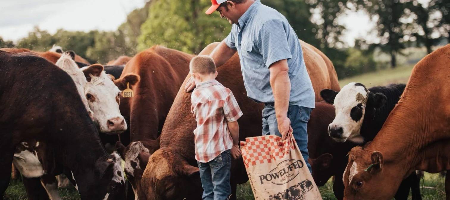 Life Is Better in The Coop Free Range Chickens